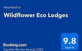 Wildflower Eco Lodges